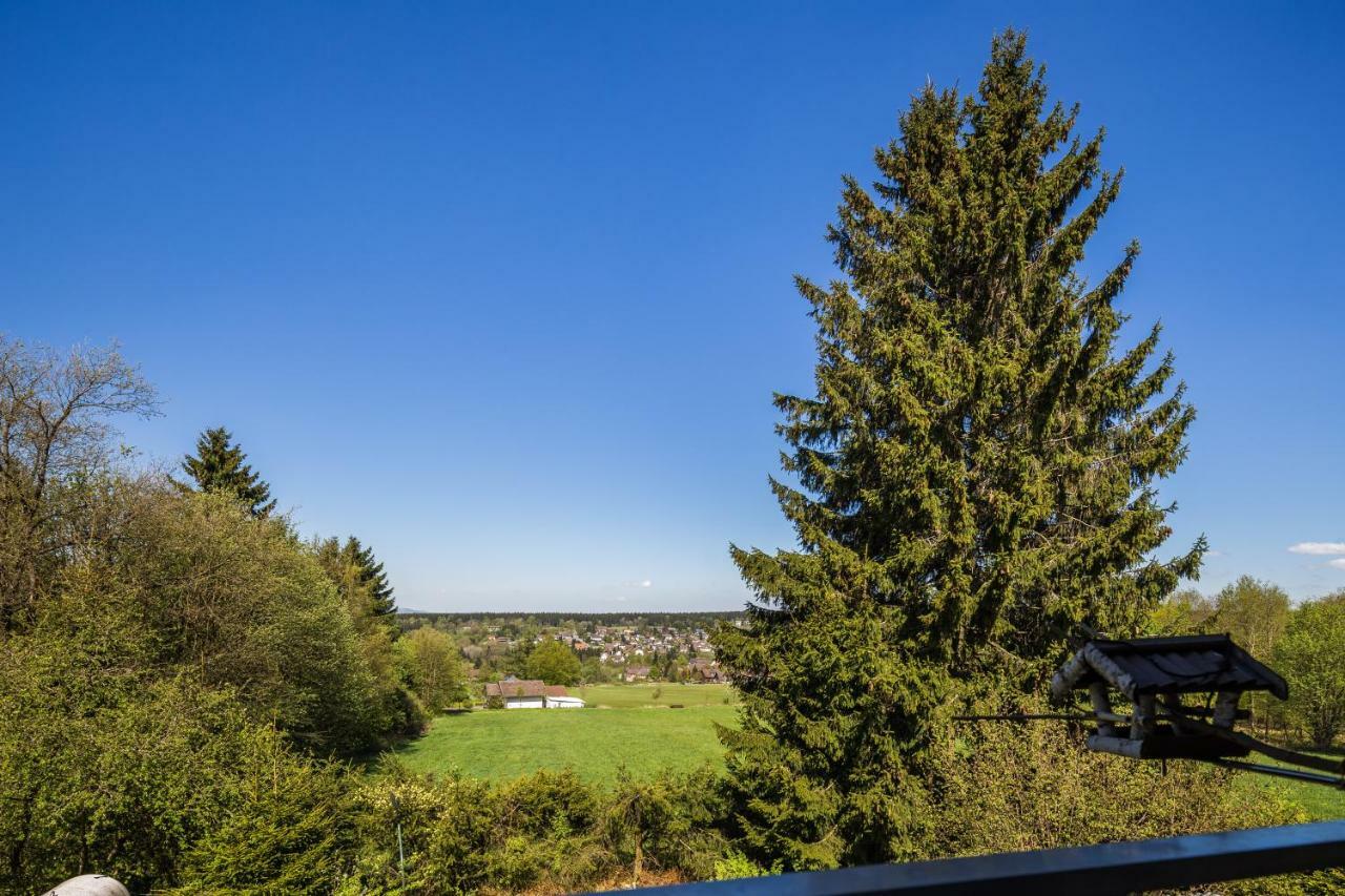 Appartement Moosberg Haus Mizzi à Holzminden Extérieur photo